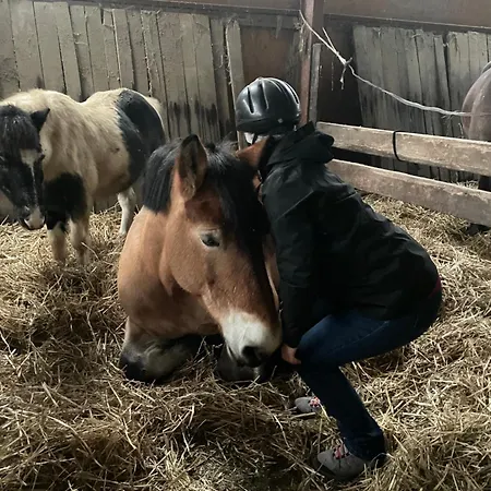 Voyelles Hébergement de vacances Chuffilly-Roche